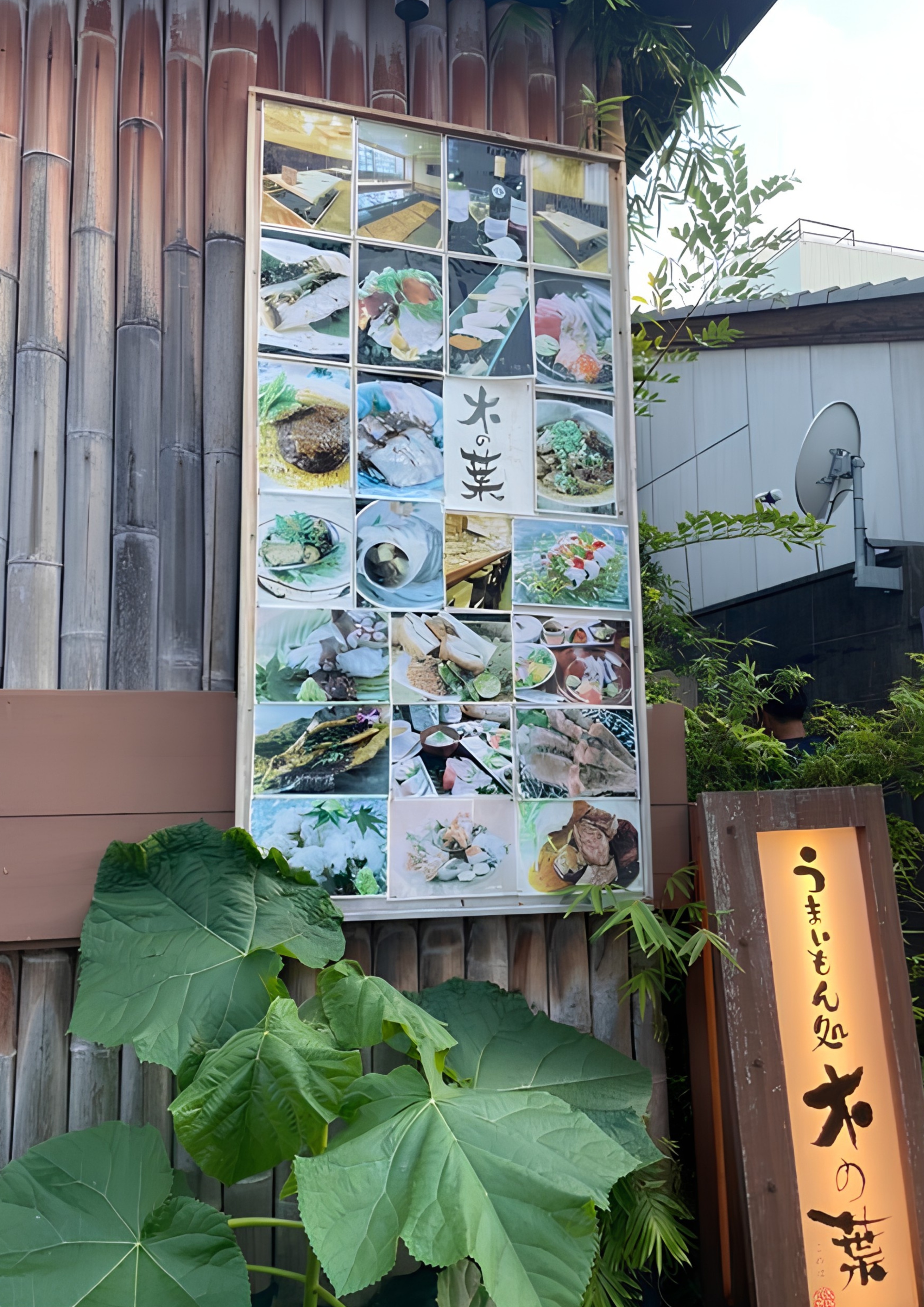 うまいもん処 木の葉 お昼